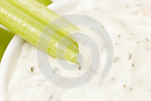 Organic Crunchy Celery and ranch dip