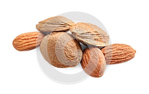 Organic dried apricot kernels on white