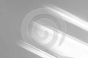 Organic drop shadow on a white wall