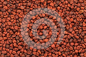 Organic dry Annatto (Bixa orellana) seeds.