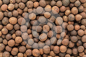 Organic dry False Black Pepper (Embelia Ribes).