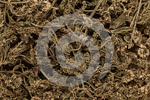 Organic dry green spearmint (Mentha spicata) leaves.