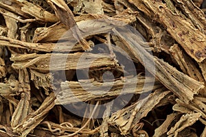 Organic dry hadjod (Cissus quadrangularis) stems.
