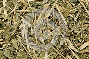Organic dry Horseradish (Armoracia rusticana) leaves with stem.
