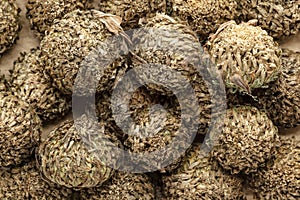 Organic dry White Akarkara Seeds (Anacyclus Pyrethrum).