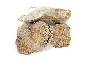 Organic dry wood pieces of Horseradish tree (Armoracia rusticana).