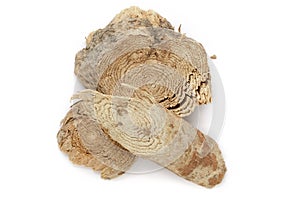 Organic dry wood pieces of Horseradish tree (Armoracia rusticana).