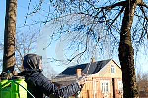 Organic ecological agriculture. Defocus farmer man spraying tree with manual pesticide sprayer against insects in spring
