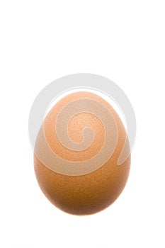 Organic egg photo