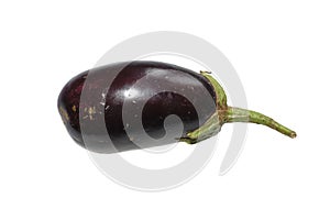 Organic Eggplant or Aubergine isolated on white background