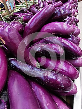 Organic Eggplant at a farmerâ€™s market