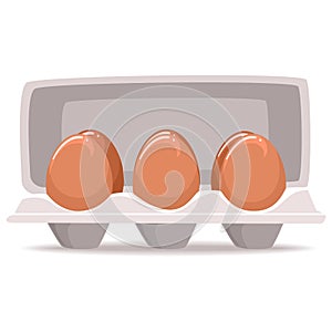 Organic Eggs inside the Box