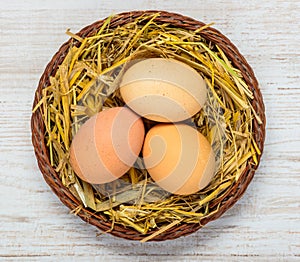 Organic Eggs in Nest