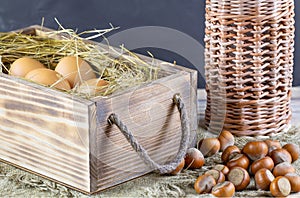 Organic eggs in a nest of hay. Hazelnuts Country style. Healthy food. Farmers Market Products. Chicken coop. Hen.