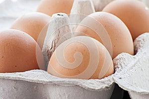 Organic eggs from pasture-raised chickens.