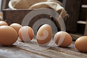 Organic Eggs on Wood