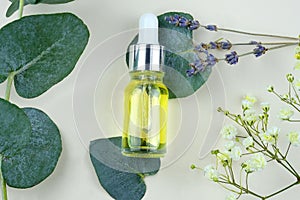 Organic eucalyptus oil from eucalyptus bush. Herbal alternative medicine concept