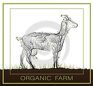 Organic farm concept, eco farm production idea, goat like tree growing on the soil on white background, green eco life