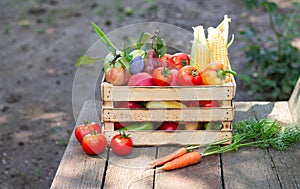 Organic farm concept. Fresh fruit, vegetables in crate on rustic wooden background outdoors