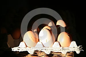 Organic farm fresh eggs in carton in the morning sun. Country Life.