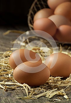 Organic farm fresh eggs photo
