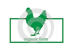 Organic farm premium chicken logo. Labels, badges and design elements. green organic style. Vector Illustration isolated on white