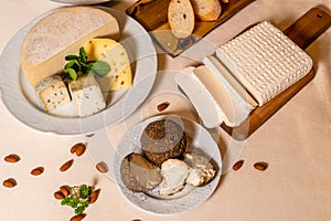 Organic Farm Products: Chopped Curd Cheese, Spiced Cheese, Hard Cheeses