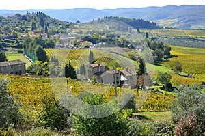 Organic farm in Tuscany , Italy