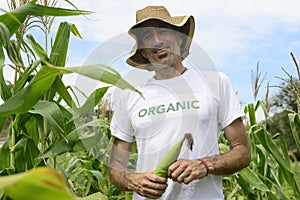 Organic farmer in okra plantation photo