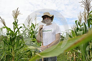 Organic farmer showing corn inside the plantation