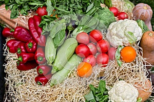 Organic farmers food market place, vegetables