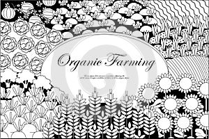 Organic farming background. Frame with plenteous fields landscape.