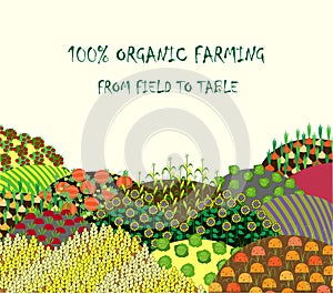 Organic farming background. Frame with plenteous fields landscape