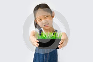 Organic Farming Concept, Asian Child Farmer, on White Background