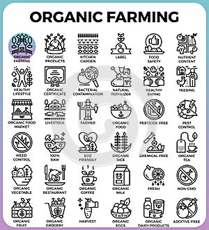 Organic farming concept detailed line icons