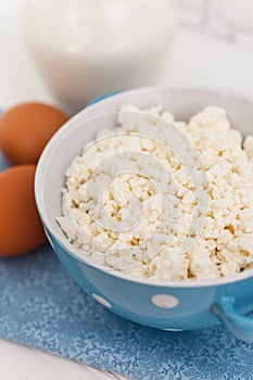 Organic farming cottage cheese in a blue bowl, eggs and milk