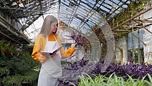 organic farming in greenhouse, young woman farmer examining plants, portrait, agribusiness