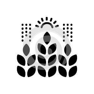 Black solid icon for Organic Farming, organic and leaf