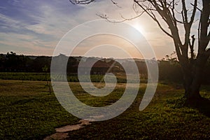 Organic Farming in Sao Paulo - Brazil