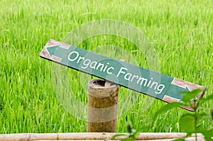 Organic farming on wood label in the nature.