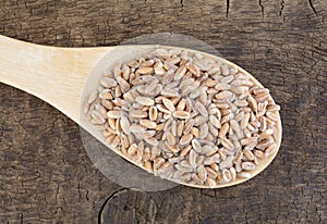Organic farro in a spoon on a board