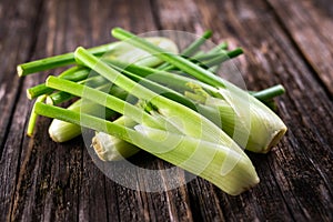 Organic fennel on rustic wooden background