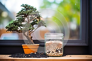 organic fertilizer in a glass jar beside a pruned bonsai