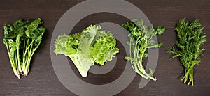 Organic food background. Spring vitamin set of various green leafy vegetables on rustic wooden table. Fresh spinach