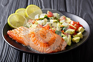 Organic food: baked wild salmon steak and fresh vegetable salad