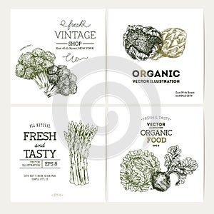 Organic food banner collection. Fresh