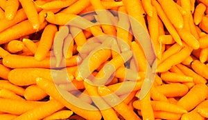 Organic food carrot. background