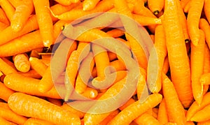 Organic food carrot. background wallpaper