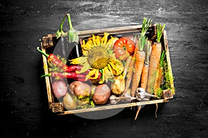 Organic food. Fresh vegetables in an old wooden box.