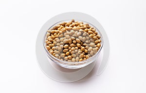 Organic Food of the Future. Soybeans in plate